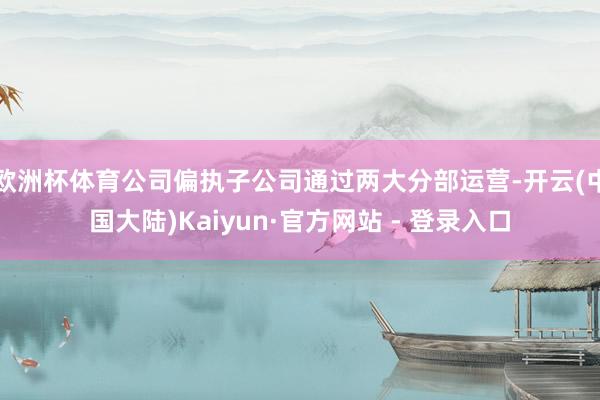 欧洲杯体育公司偏执子公司通过两大分部运营-开云(中国大陆)Kaiyun·官方网站 - 登录入口