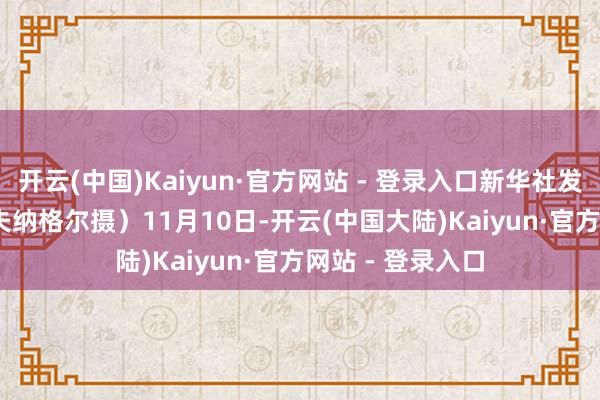 开云(中国)Kaiyun·官方网站 - 登录入口新华社发（乌尔里希·胡夫纳格尔摄）　　11月10日-开云(中国大陆)Kaiyun·官方网站 - 登录入口