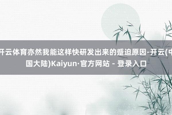 开云体育亦然我能这样快研发出来的蹙迫原因-开云(中国大陆)Kaiyun·官方网站 - 登录入口